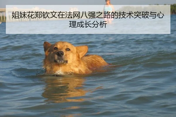 姐妹花郑钦文在法网八强之路的技术突破与心理成长分析